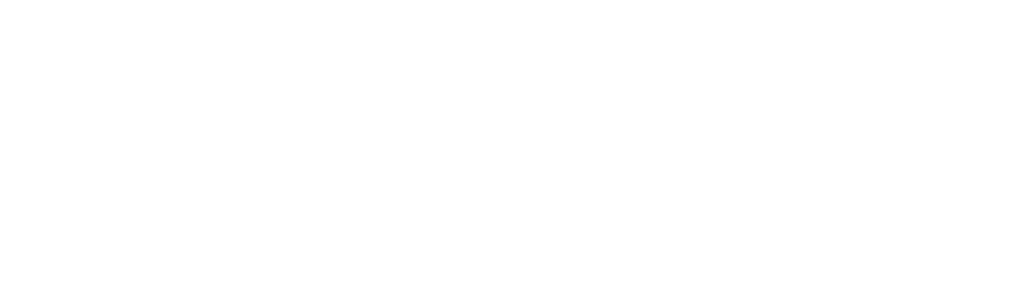 FAGDS